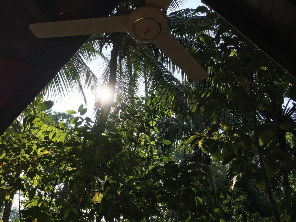 Elegant Hamlets Home Stay Chilaw Luaran gambar