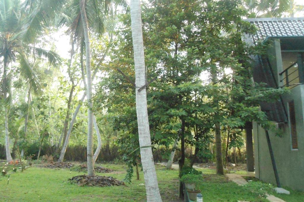 Elegant Hamlets Home Stay Chilaw Luaran gambar